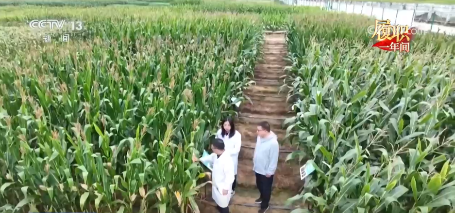 
江苏省中医院黄牛代挂号电话票贩子号贩子网上预约挂号,住院检查加快,履职一年间 | 十多年科研攻关 他让更多科研成果变成老百姓“饭碗”里的实惠