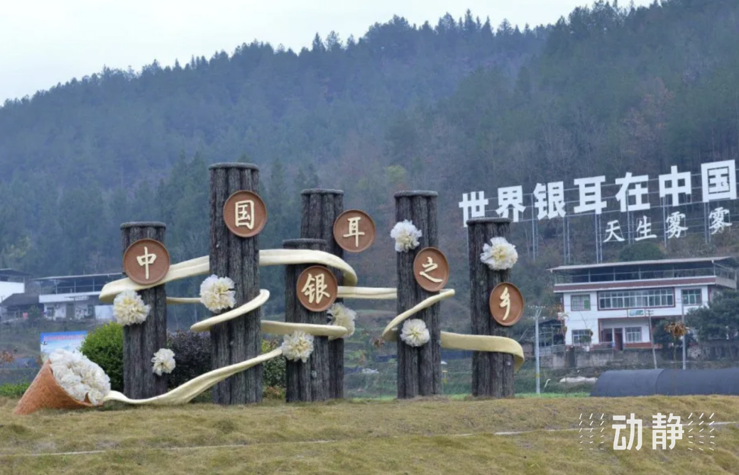 
北京大学人民医院黄牛代挂号电话票贩子号贩子网上预约挂号,住院检查加快,产业破题 绘就老区振兴新画卷