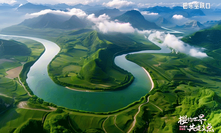 北京儿童医院黄牛代挂号电话票贩子号贩子网上预约挂号,住院检查加快,相约春天赏樱花丨看!花都为你开好了!