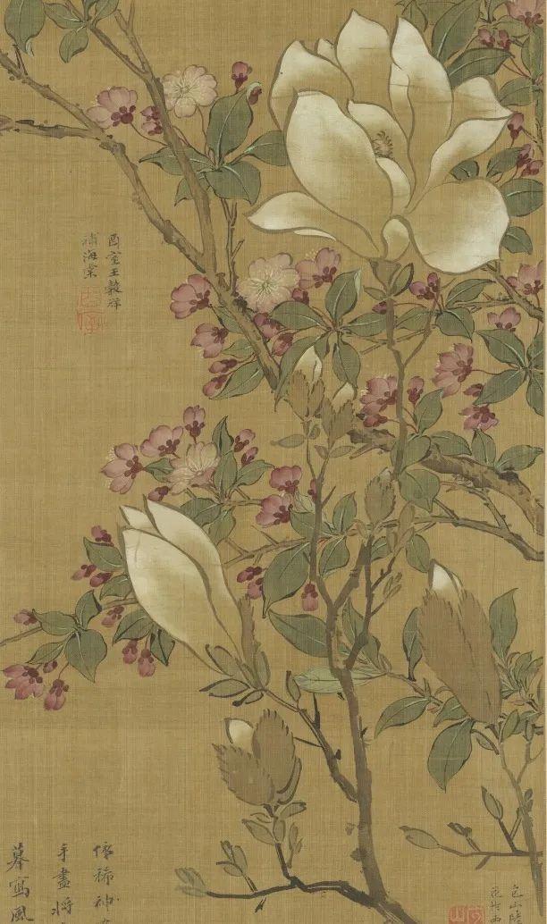 
上海第十人民医院黄牛代挂号电话票贩子号贩子网上预约挂号,住院检查加快,文化中国行·文博日历丨早春玉兰开 一起到全国古迹去追花（附打卡攻略）