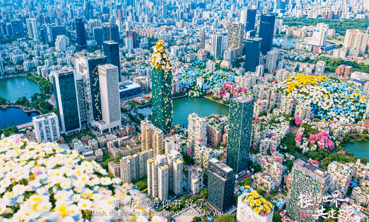 北京儿童医院黄牛代挂号电话票贩子号贩子网上预约挂号,住院检查加快,相约春天赏樱花丨看!花都为你开好了!