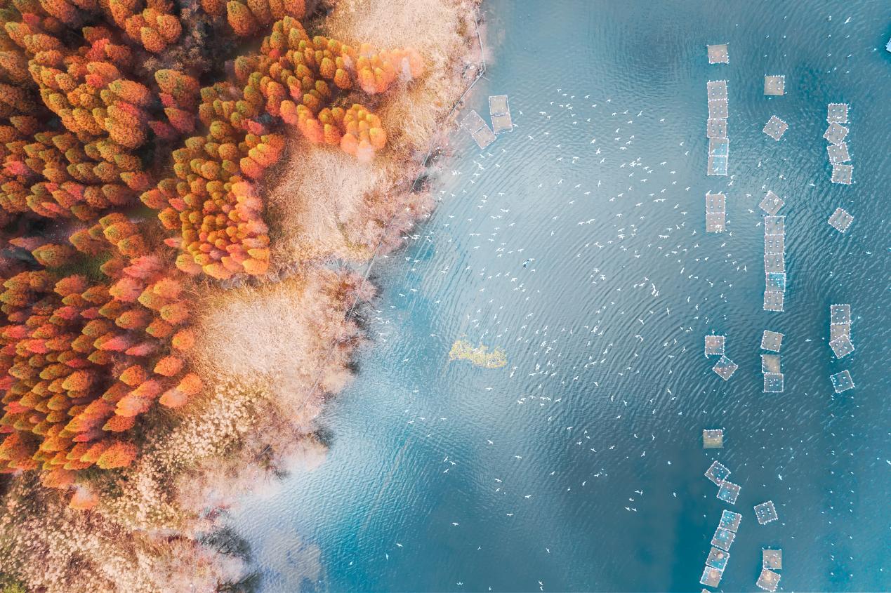 
湖南中医附一医院黄牛代挂号电话票贩子号贩子网上预约挂号,住院检查加快,你好，彩云之南