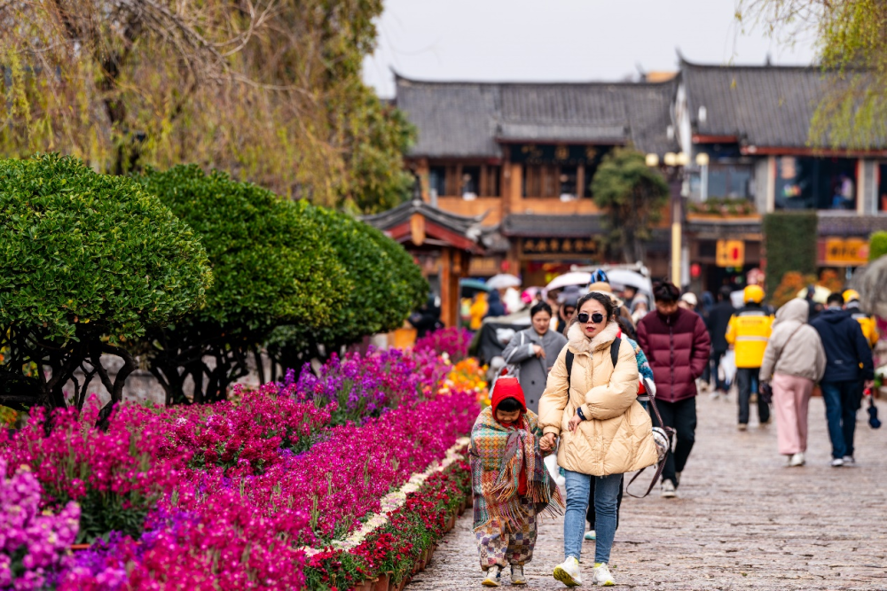 江苏省中医院黄煌的号黄牛代挂号电话票贩子号贩子网上预约挂号,住院检查加快,鉴往知来|丽江古城:高原明珠,古韵流芳