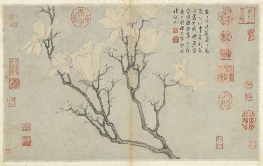 
上海第十人民医院黄牛代挂号电话票贩子号贩子网上预约挂号,住院检查加快,文化中国行·文博日历丨早春玉兰开 一起到全国古迹去追花（附打卡攻略）