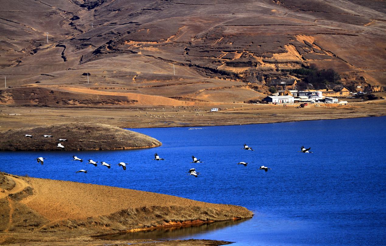 
湖南中医附一医院黄牛代挂号电话票贩子号贩子网上预约挂号,住院检查加快,你好，彩云之南