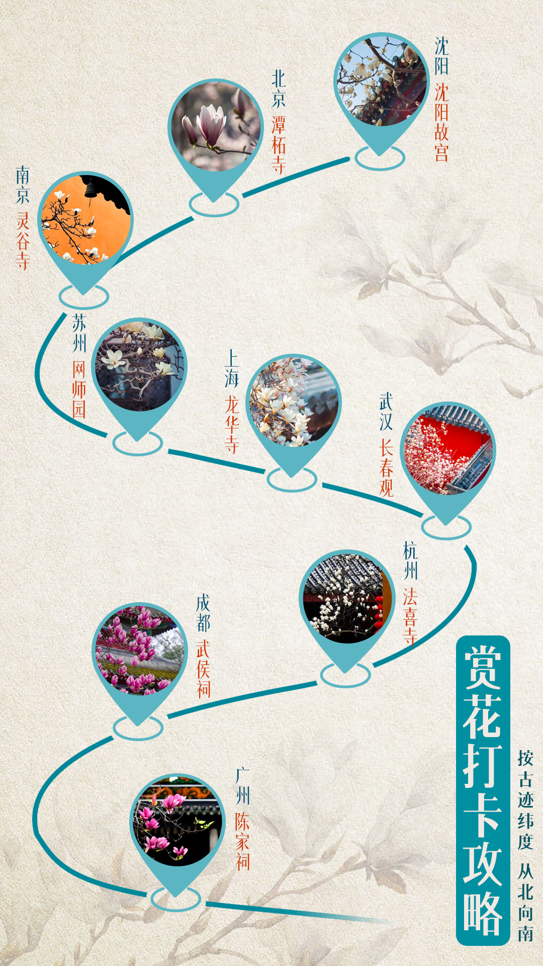 
上海第十人民医院黄牛代挂号电话票贩子号贩子网上预约挂号,住院检查加快,文化中国行·文博日历丨早春玉兰开 一起到全国古迹去追花（附打卡攻略）