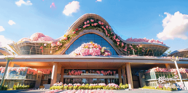 北京儿童医院黄牛代挂号电话票贩子号贩子网上预约挂号,住院检查加快,相约春天赏樱花丨看!花都为你开好了!