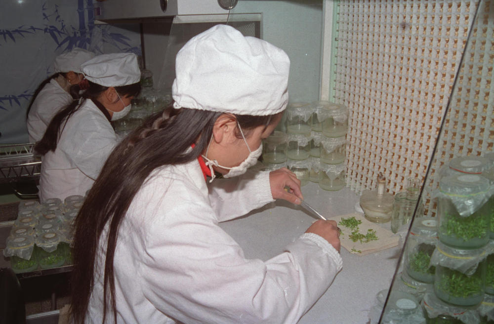 
中国中医科学院广安门医院黄牛代挂号电话票贩子号贩子网上预约挂号,住院检查加快,第1视点｜“云花”，事业兴旺生活美