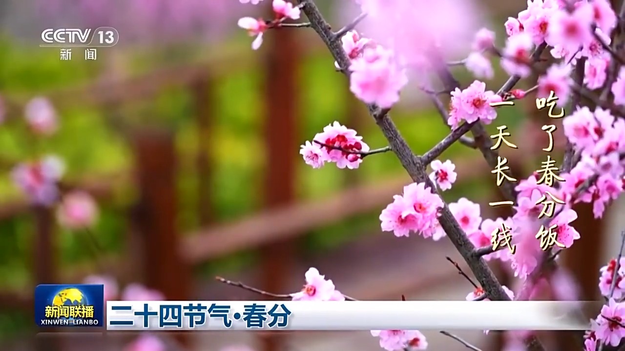 
陕西省中医医院黄牛号贩子挂号电话文化中国行丨二十四节气·春分 最是人间好时节