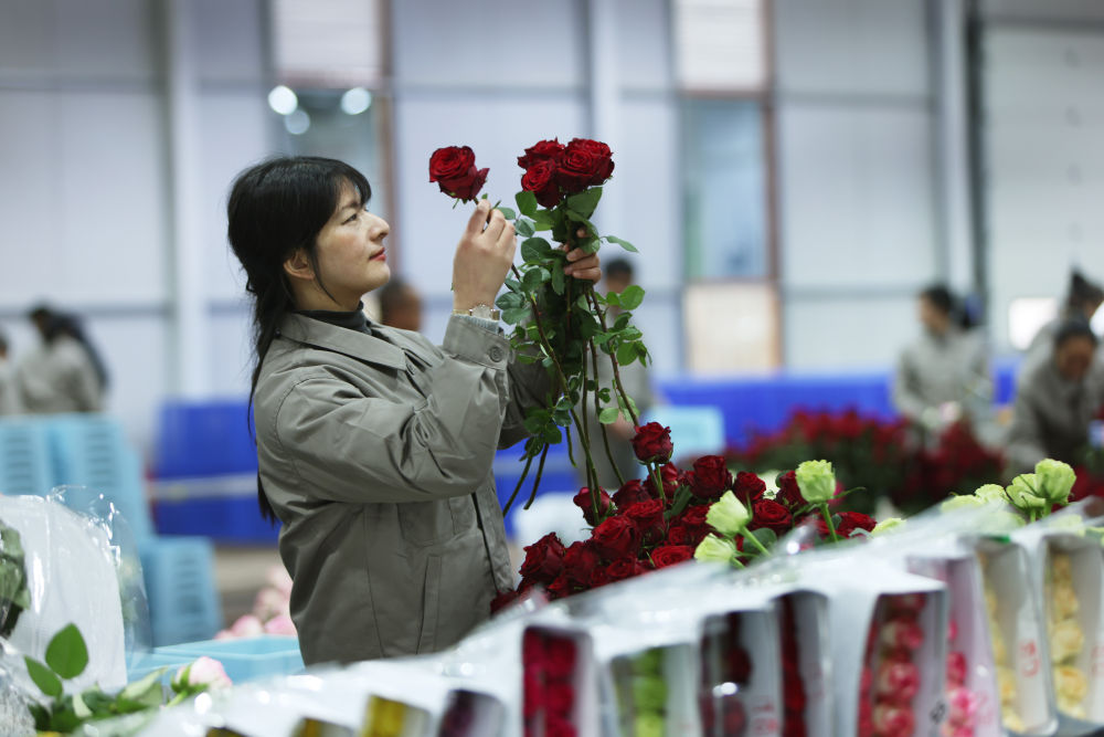 
中国中医科学院广安门医院黄牛代挂号电话票贩子号贩子网上预约挂号,住院检查加快,第1视点｜“云花”，事业兴旺生活美