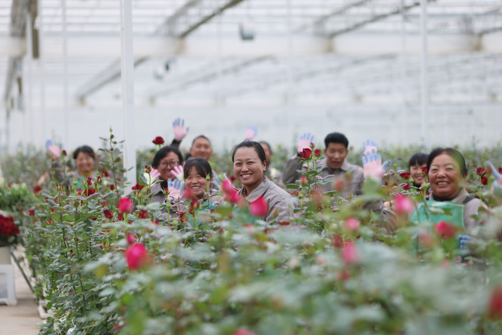 
中国中医科学院广安门医院黄牛代挂号电话票贩子号贩子网上预约挂号,住院检查加快,第1视点｜“云花”，事业兴旺生活美
