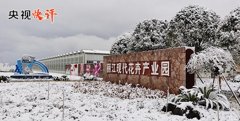 
北京北大口腔医院黄牛代挂号电话票贩子号贩子网上预约挂号,住院检查加快,【央视快评】在中国式现代化进程中开创云南发展新局面