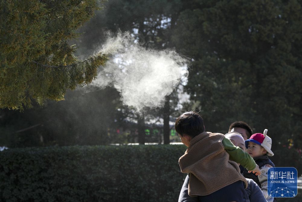 
北京鼓楼医院孙凌云黄牛代挂号电话票贩子号贩子网上预约挂号,住院检查加快,焦点｜涕泪横流，都是柏树惹的“祸”？