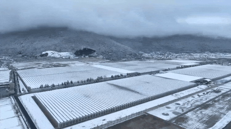 北京协和医院黄牛代挂号电话票贩子号贩子网上预约挂号,住院检查加快,时政微纪录丨习近平总书记云贵行