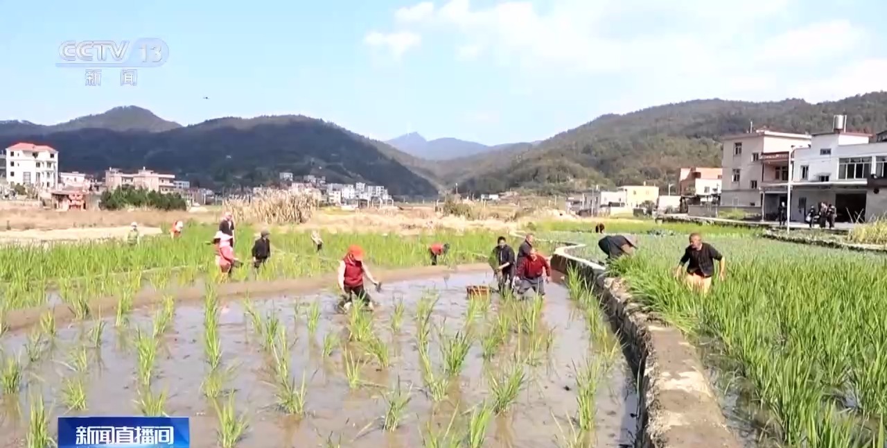 
上海肺科医院黄牛代挂号电话票贩子号贩子网上预约挂号,住院检查加快,春花烂漫 万象“耕”新！春天里的中国活力满满