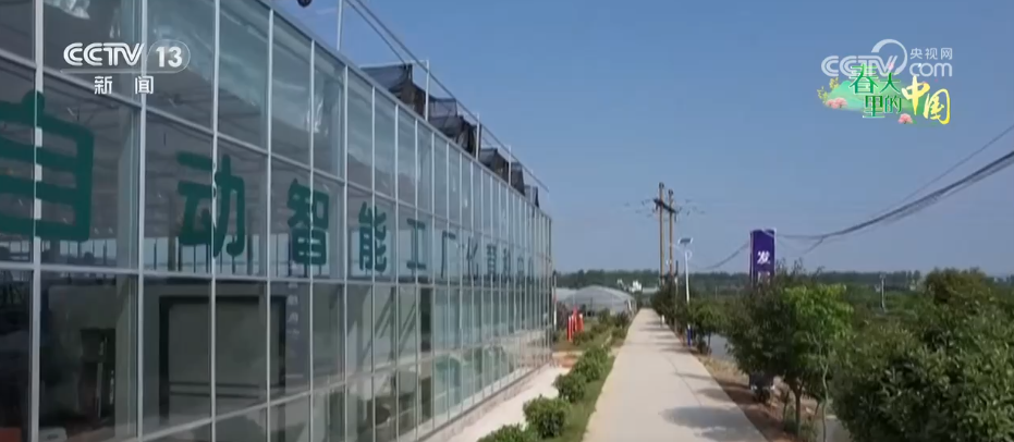 
江苏省中西医结合医院黄牛代挂号电话票贩子号贩子网上预约挂号,住院检查加快,面朝黄土背朝天→智慧春耕 农业科技助力春耕生产提质加速