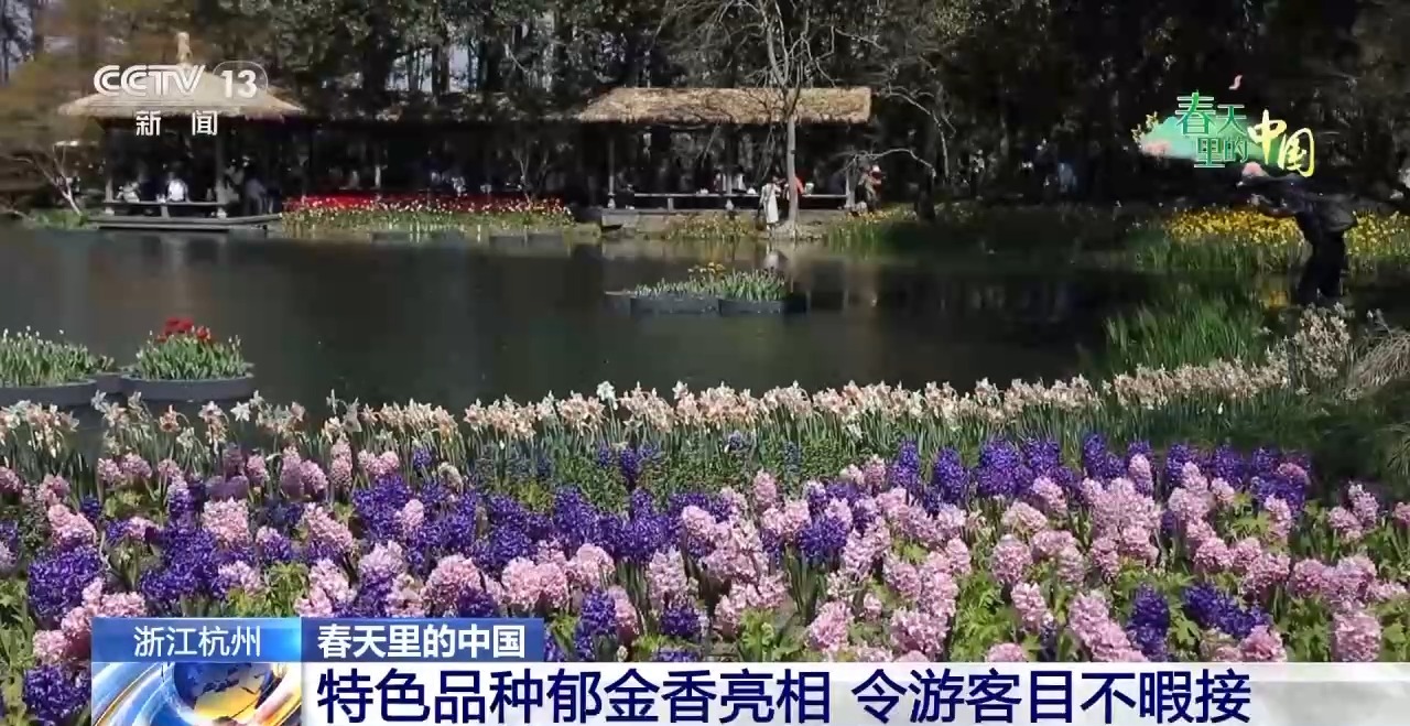 
上海肺科医院黄牛代挂号电话票贩子号贩子网上预约挂号,住院检查加快,春花烂漫 万象“耕”新！春天里的中国活力满满