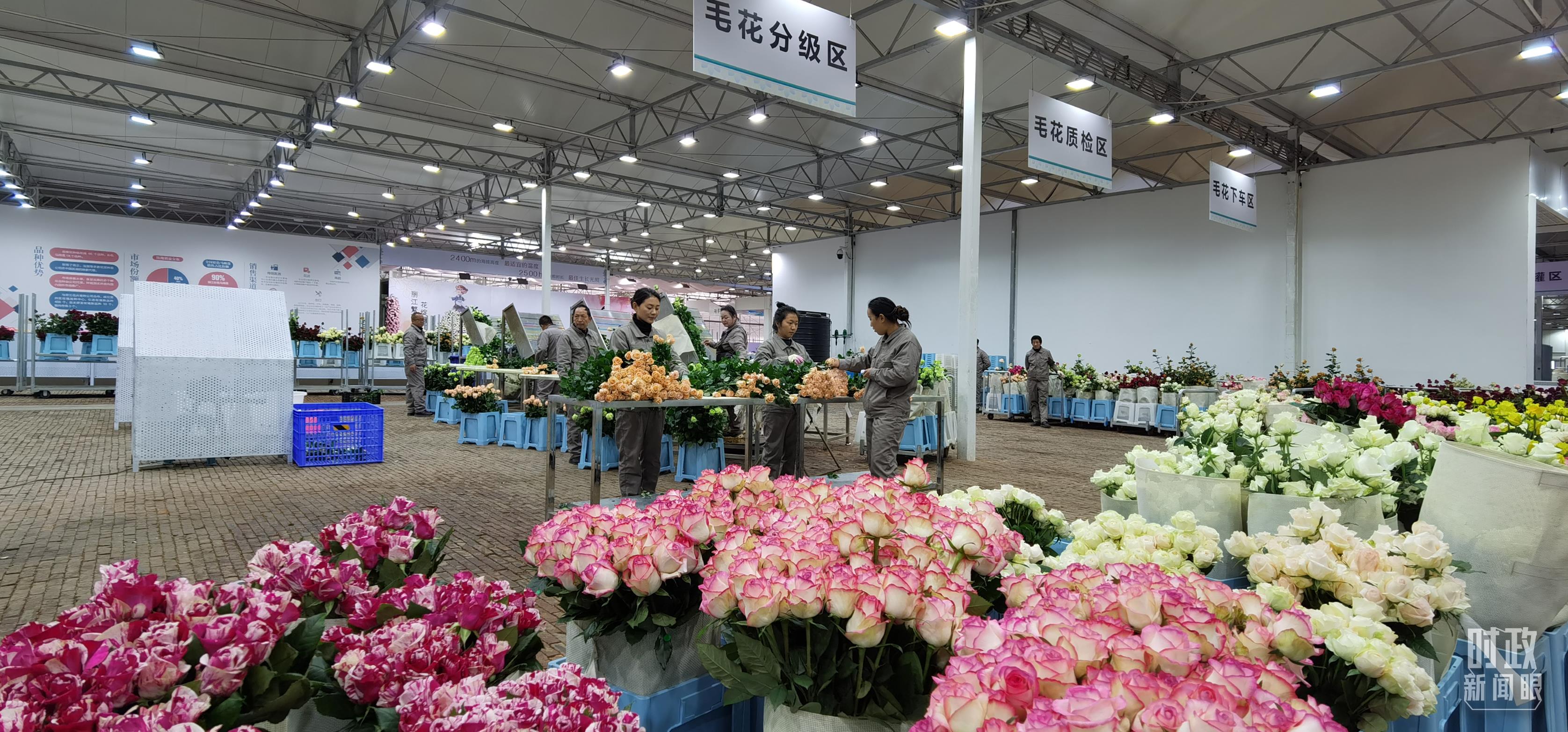 
杭州各大医院黄牛代挂号电话票贩子号贩子网上预约挂号,住院检查加快,时政新闻眼丨云南如何开创发展新局面，习近平强调这些着力点