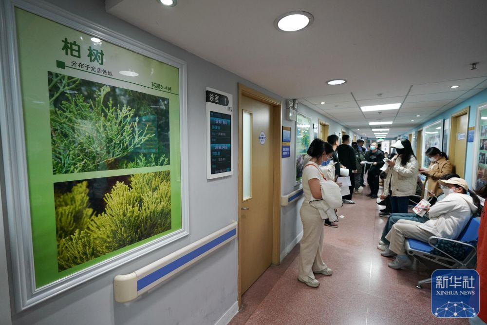
北京鼓楼医院孙凌云黄牛代挂号电话票贩子号贩子网上预约挂号,住院检查加快,焦点｜涕泪横流，都是柏树惹的“祸”？