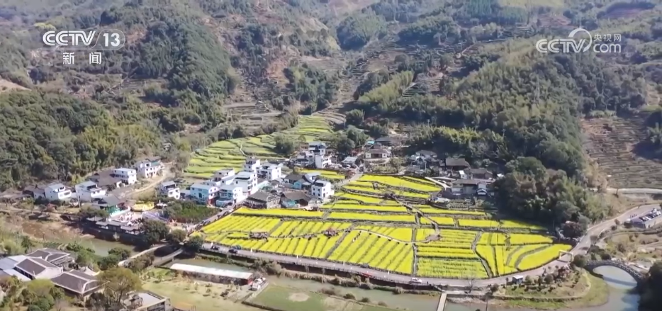 
北京大学第三医院黄牛代挂号电话票贩子号贩子网上预约挂号,住院检查加快,种田就是种风景 看各地如何抢抓“赏花经济”流量红利