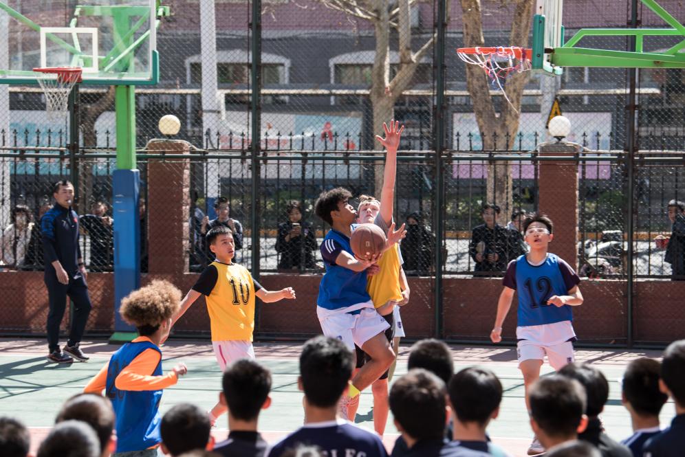 
北京协和医院黄牛代挂号电话票贩子号贩子网上预约挂号,住院检查加快,新华鲜报｜传承40年友谊！百余美国师生访华续种“友谊树”