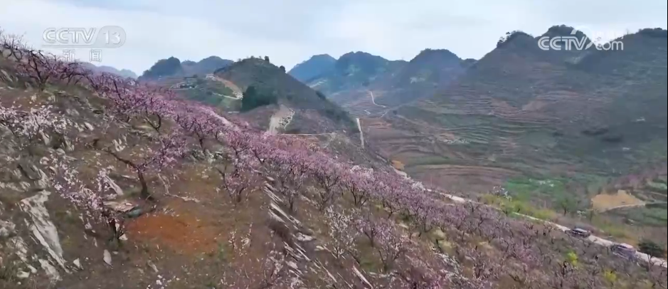 
北京大学第三医院黄牛代挂号电话票贩子号贩子网上预约挂号,住院检查加快,种田就是种风景 看各地如何抢抓“赏花经济”流量红利