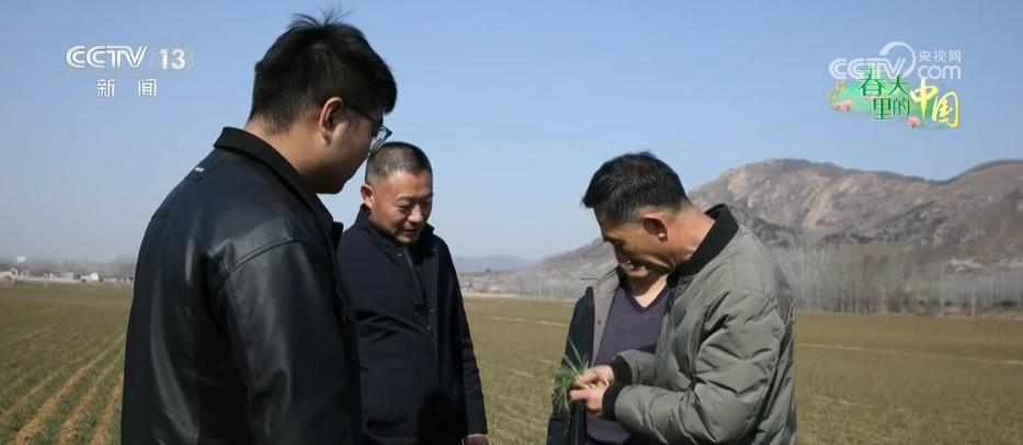 
江苏省中西医结合医院黄牛代挂号电话票贩子号贩子网上预约挂号,住院检查加快,面朝黄土背朝天→智慧春耕 农业科技助力春耕生产提质加速