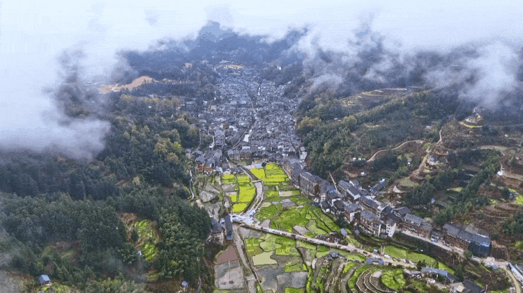 北京协和医院黄牛代挂号电话票贩子号贩子网上预约挂号,住院检查加快,时政微纪录丨习近平总书记云贵行
