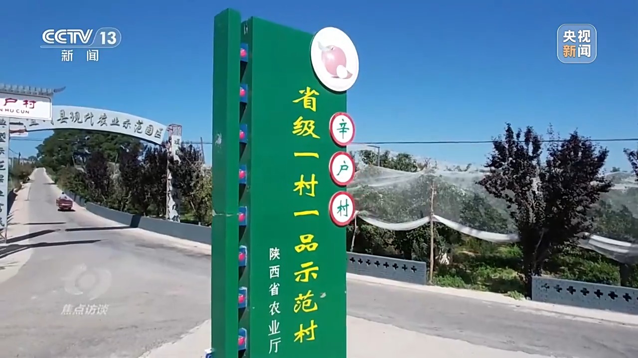
北京北大口腔医院黄牛代挂号电话票贩子号贩子网上预约挂号,住院检查加快,焦点访谈丨卖产品→卖品牌 看延安如何把苹果树变成“摇钱树”