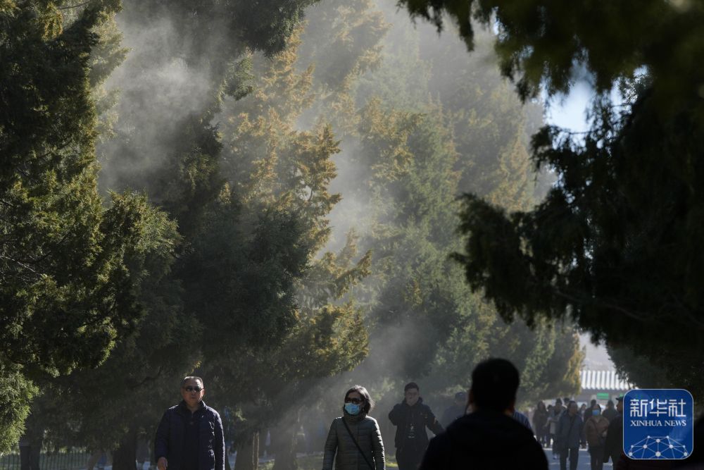 
北京鼓楼医院孙凌云黄牛代挂号电话票贩子号贩子网上预约挂号,住院检查加快,焦点｜涕泪横流，都是柏树惹的“祸”？