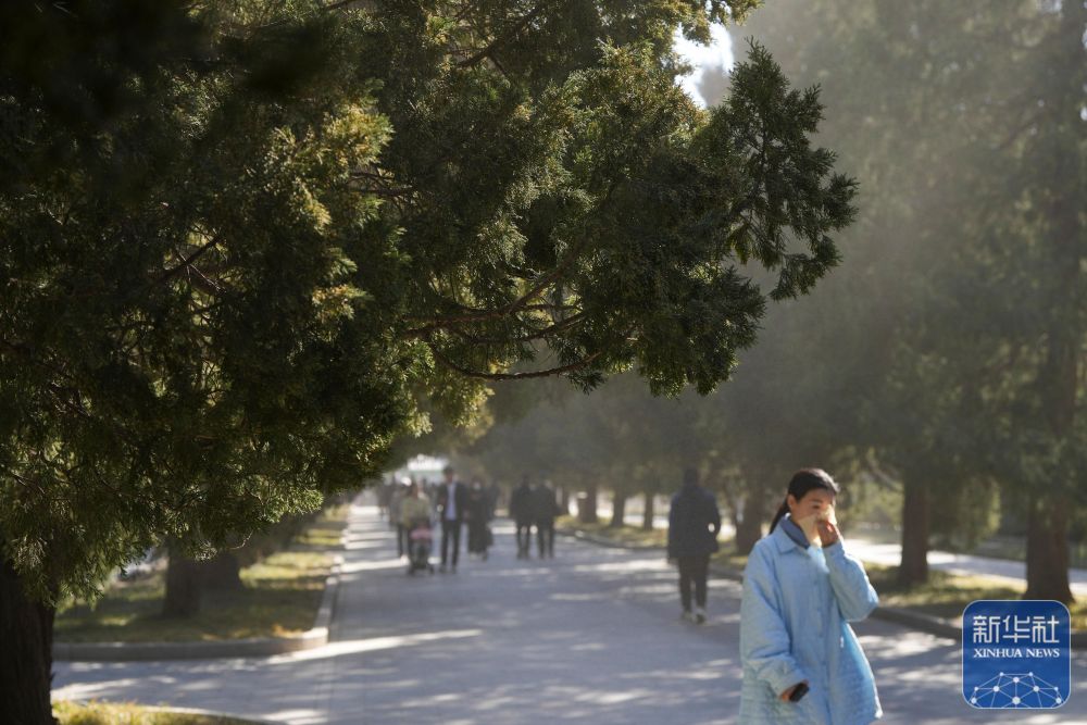 
北京鼓楼医院孙凌云黄牛代挂号电话票贩子号贩子网上预约挂号,住院检查加快,焦点｜涕泪横流，都是柏树惹的“祸”？