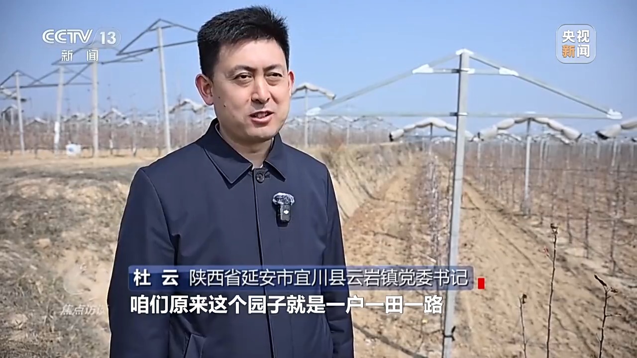 
北京北大口腔医院黄牛代挂号电话票贩子号贩子网上预约挂号,住院检查加快,焦点访谈丨卖产品→卖品牌 看延安如何把苹果树变成“摇钱树”