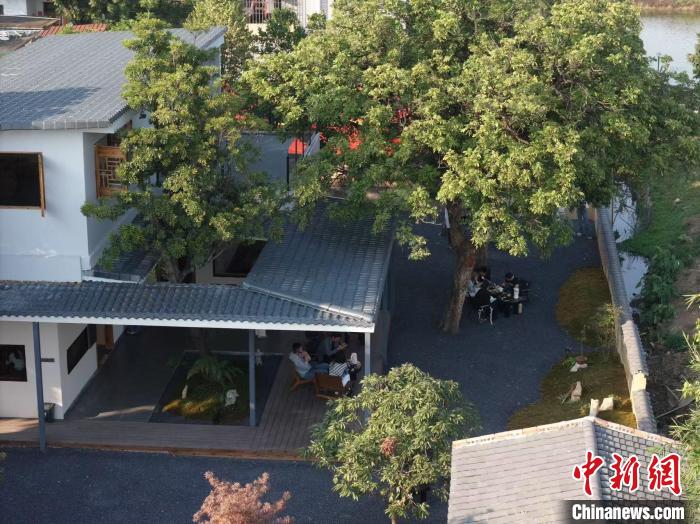 
浙江中医药第二医院黄牛代挂号电话票贩子号贩子网上预约挂号,住院检查加快,（走进中国乡村）广西昭平茶旅融合撬动百亿元市场