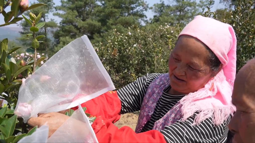 
北京八大处整形医院黄牛代挂号电话票贩子号贩子网上预约挂号,住院检查加快,新华视点丨春天里 听一首乡村振兴交响曲