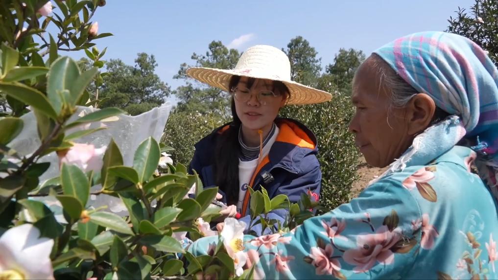 
北京八大处整形医院黄牛代挂号电话票贩子号贩子网上预约挂号,住院检查加快,新华视点丨春天里 听一首乡村振兴交响曲