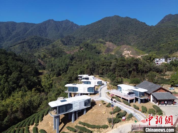 
浙江中医药第二医院黄牛代挂号电话票贩子号贩子网上预约挂号,住院检查加快,（走进中国乡村）广西昭平茶旅融合撬动百亿元市场