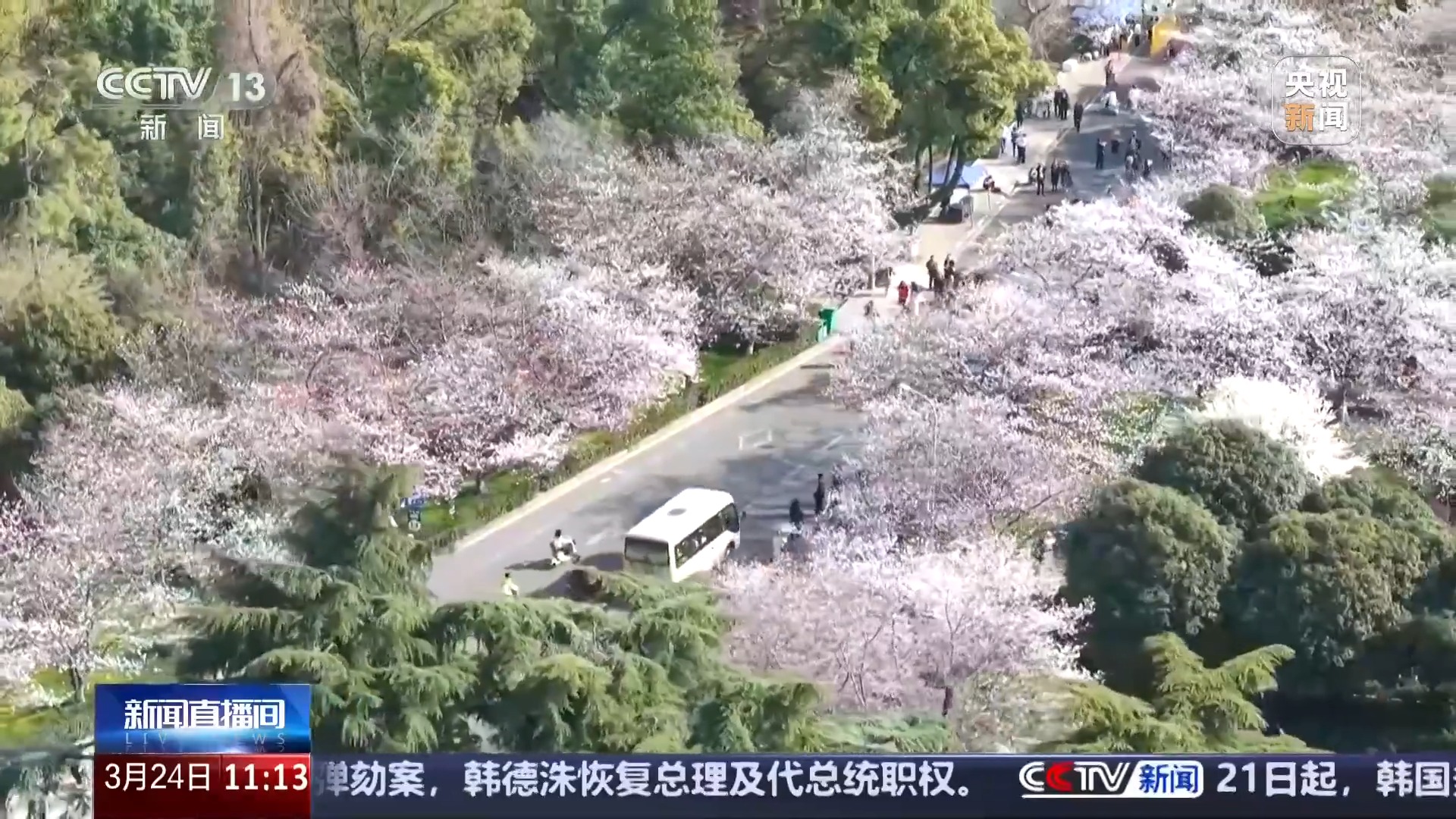 
北京儿童医院黄牛代挂号电话票贩子号贩子网上预约挂号,住院检查加快,清明将至 短途旅游线路火爆 这些宝藏地等你打卡