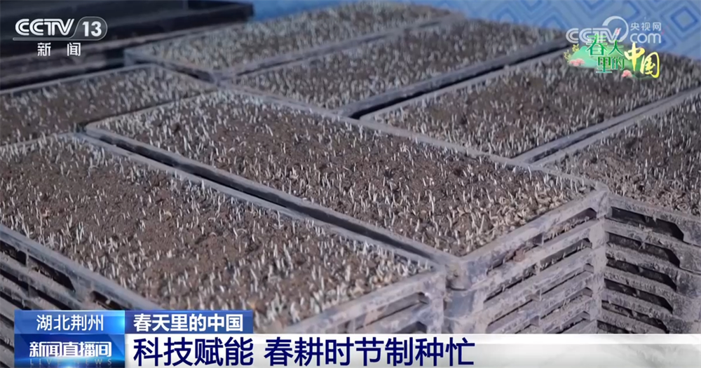 
东部战区总医院黄牛代挂号电话票贩子号贩子网上预约挂号,住院检查加快,科技赋能为春耕按下“加速键” 春天里的中国孕育丰收希望