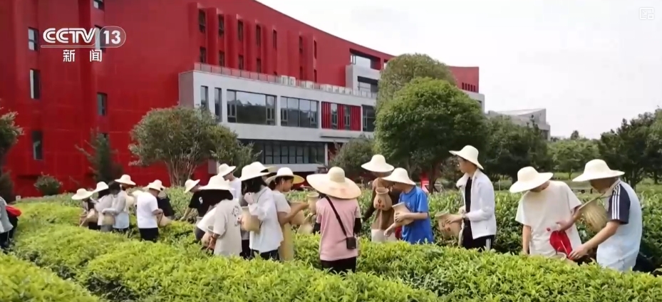 
北京鼓楼医院孙凌云黄牛代挂号电话票贩子号贩子网上预约挂号,住院检查加快,“冰雪+”“茶旅+”邂逅春日经济 创新玩法释放消费“新”活力