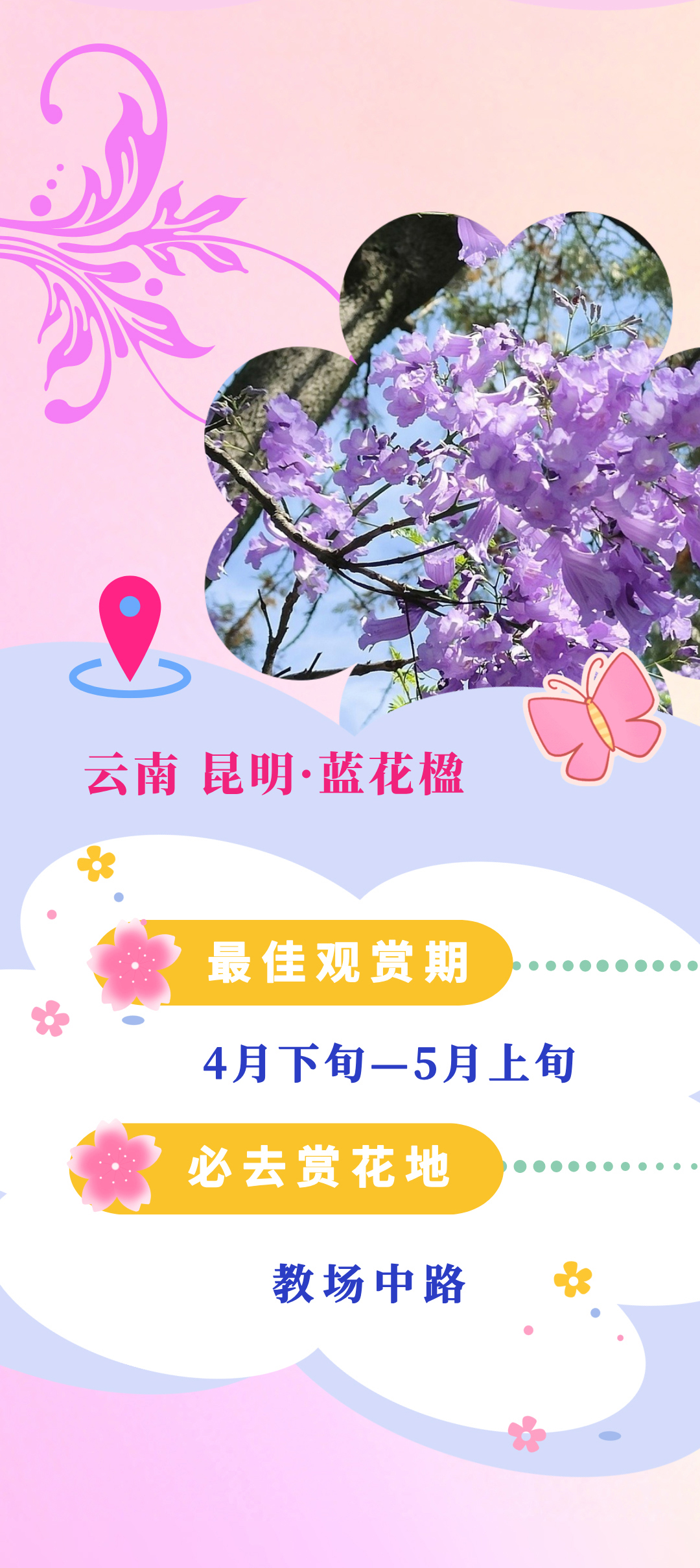 
浙江大学儿童医院黄牛代挂号电话票贩子号贩子网上预约挂号,住院检查加快,乐享春日，这本赏花指南快了解