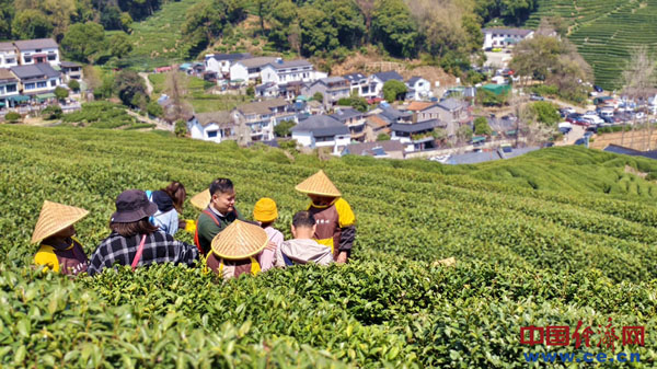 
长春吉大一院黄牛代挂号电话票贩子号贩子网上预约挂号,住院检查加快,中经评论：春光正好，解锁文旅消费“留量”密码