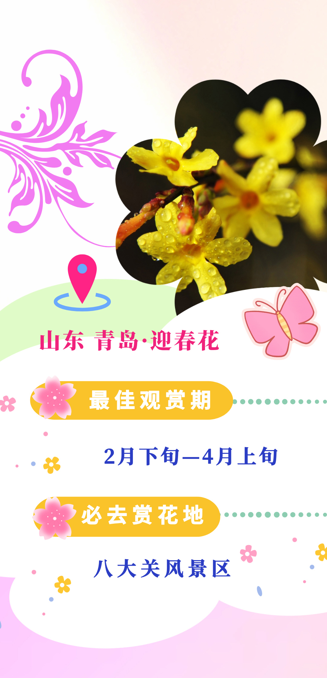 
浙江大学儿童医院黄牛代挂号电话票贩子号贩子网上预约挂号,住院检查加快,乐享春日，这本赏花指南快了解