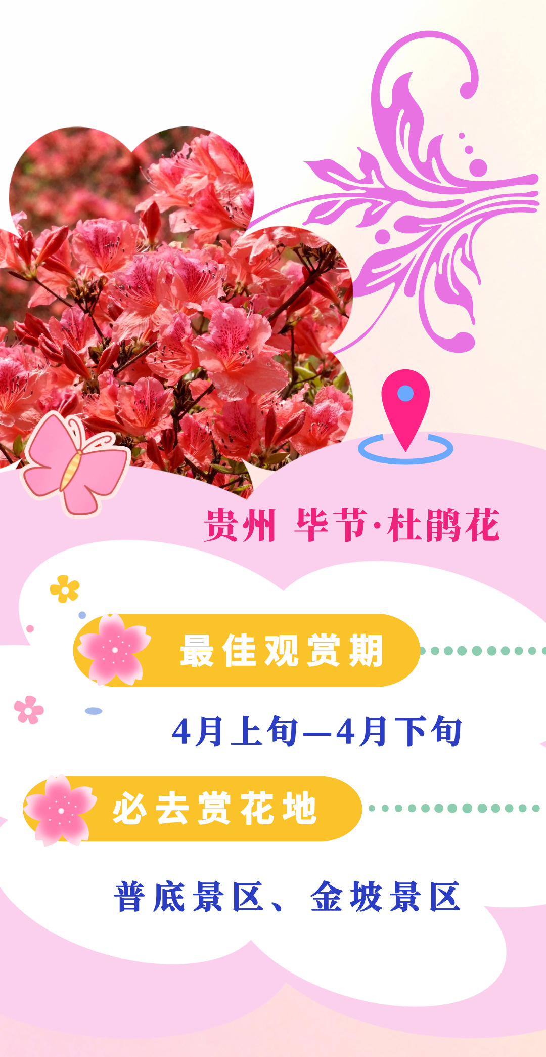 
浙江大学儿童医院黄牛代挂号电话票贩子号贩子网上预约挂号,住院检查加快,乐享春日，这本赏花指南快了解