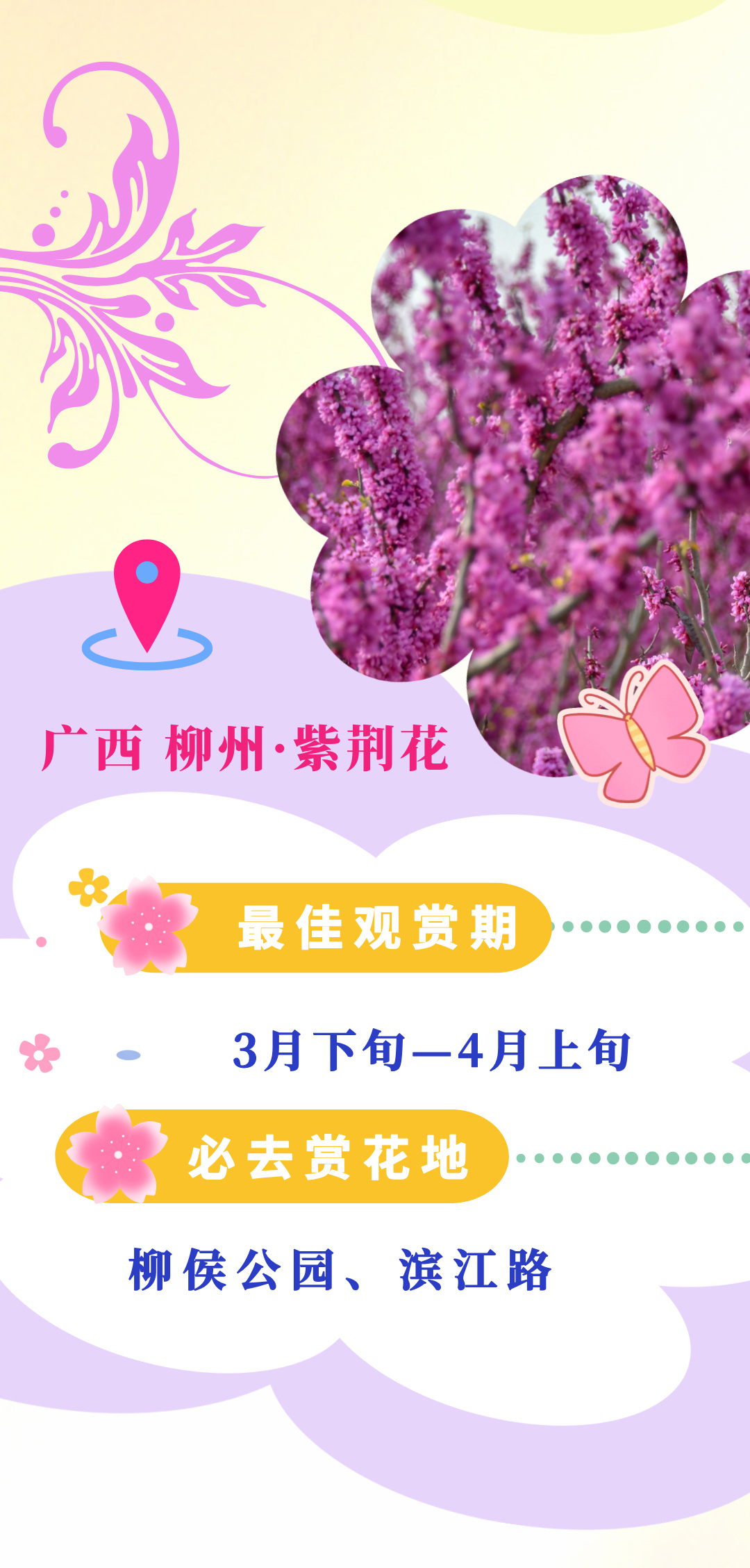 
浙江大学儿童医院黄牛代挂号电话票贩子号贩子网上预约挂号,住院检查加快,乐享春日，这本赏花指南快了解