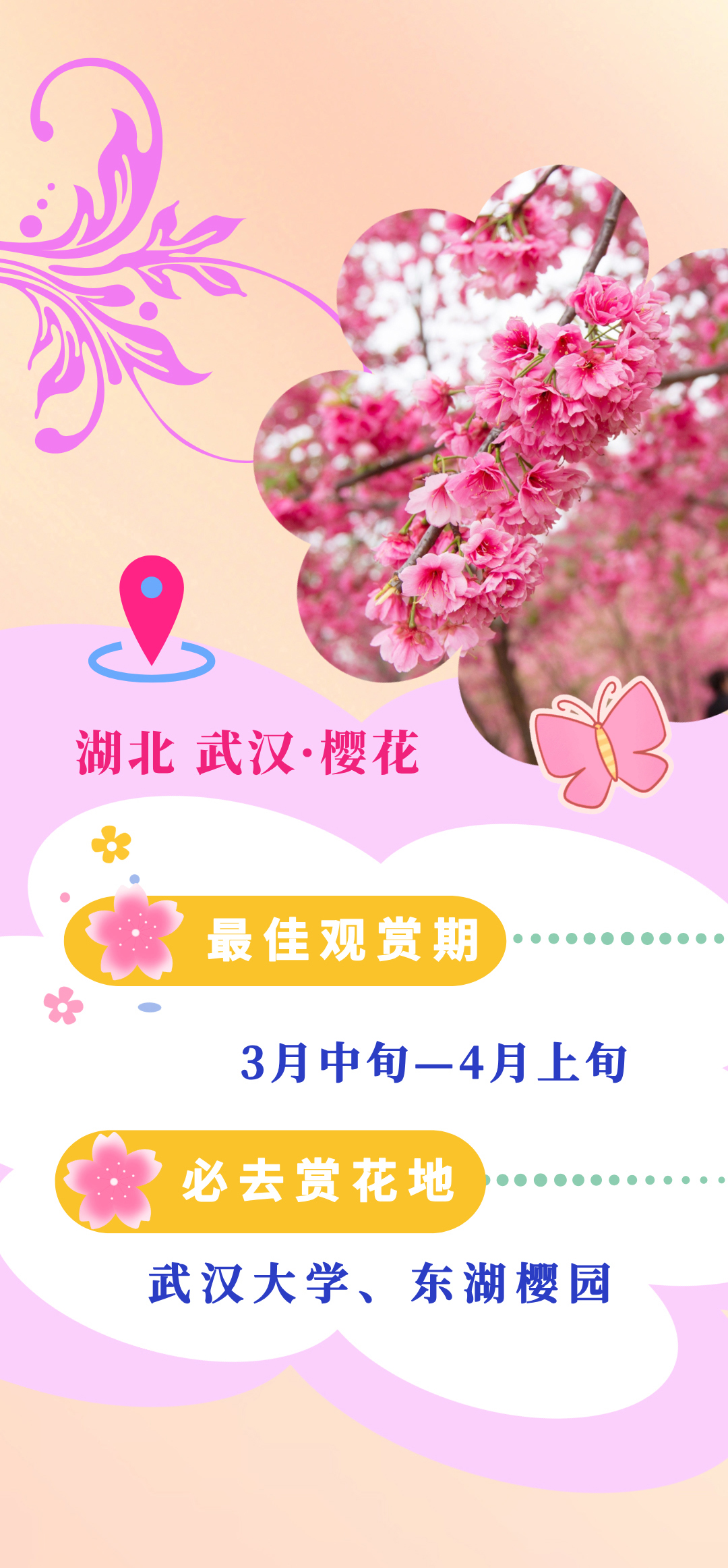 
浙江大学儿童医院黄牛代挂号电话票贩子号贩子网上预约挂号,住院检查加快,乐享春日，这本赏花指南快了解