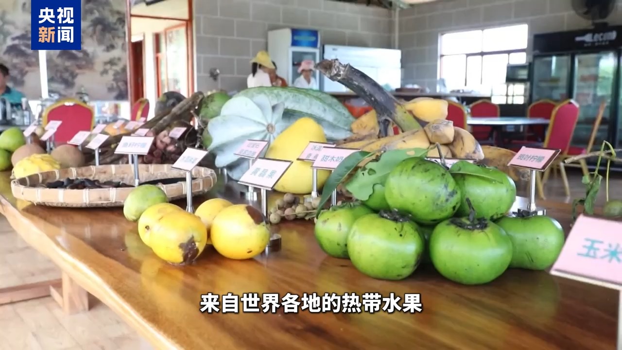 
北京朝阳医院黄牛代挂号电话票贩子号贩子网上预约挂号,住院检查加快,博鳌有新知丨黄晶果、牛奶果……来“世界热带水果之窗”品尝水果盛宴！