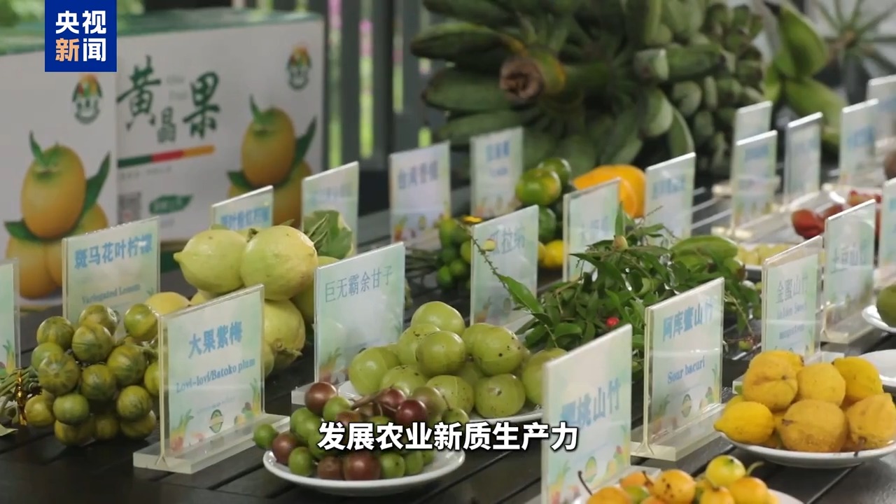 
北京朝阳医院黄牛代挂号电话票贩子号贩子网上预约挂号,住院检查加快,博鳌有新知丨黄晶果、牛奶果……来“世界热带水果之窗”品尝水果盛宴！