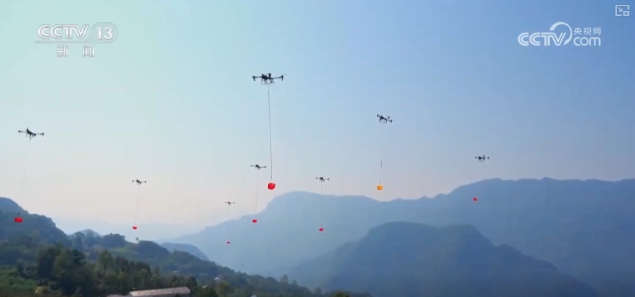 
江苏省中医院黄牛代挂号电话票贩子号贩子网上预约挂号,住院检查加快,坐“火车”乘“飞机” 科技赋能脐橙“跑”上公路出山