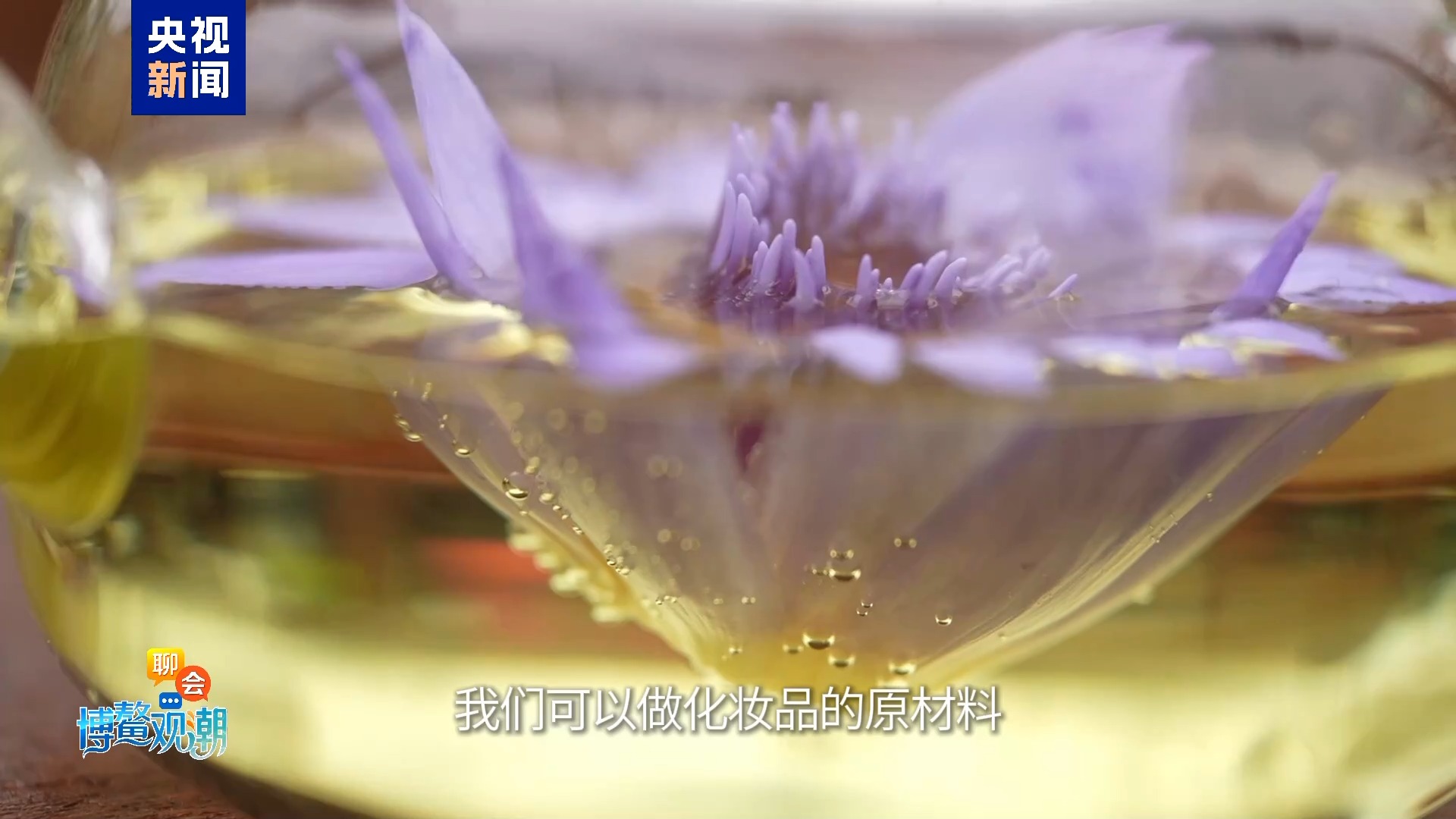 
沈阳盛京医院黄牛号贩子挂号电话聊会·博鳌观潮丨花茶+菜梗+精油，蓝莲花全身是宝！