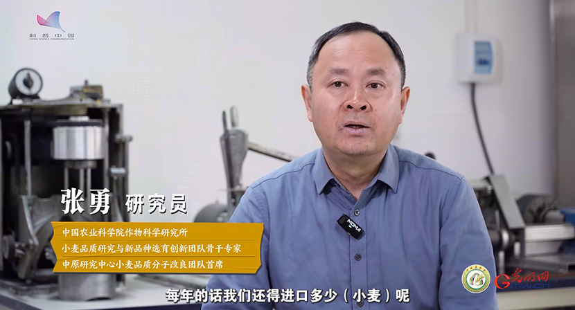 
北京佑安医院黄牛代挂号电话票贩子号贩子网上预约挂号,住院检查加快,【大国粮策】从田间到舌尖，一粒小麦的“72变”